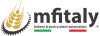 logo mfitaly