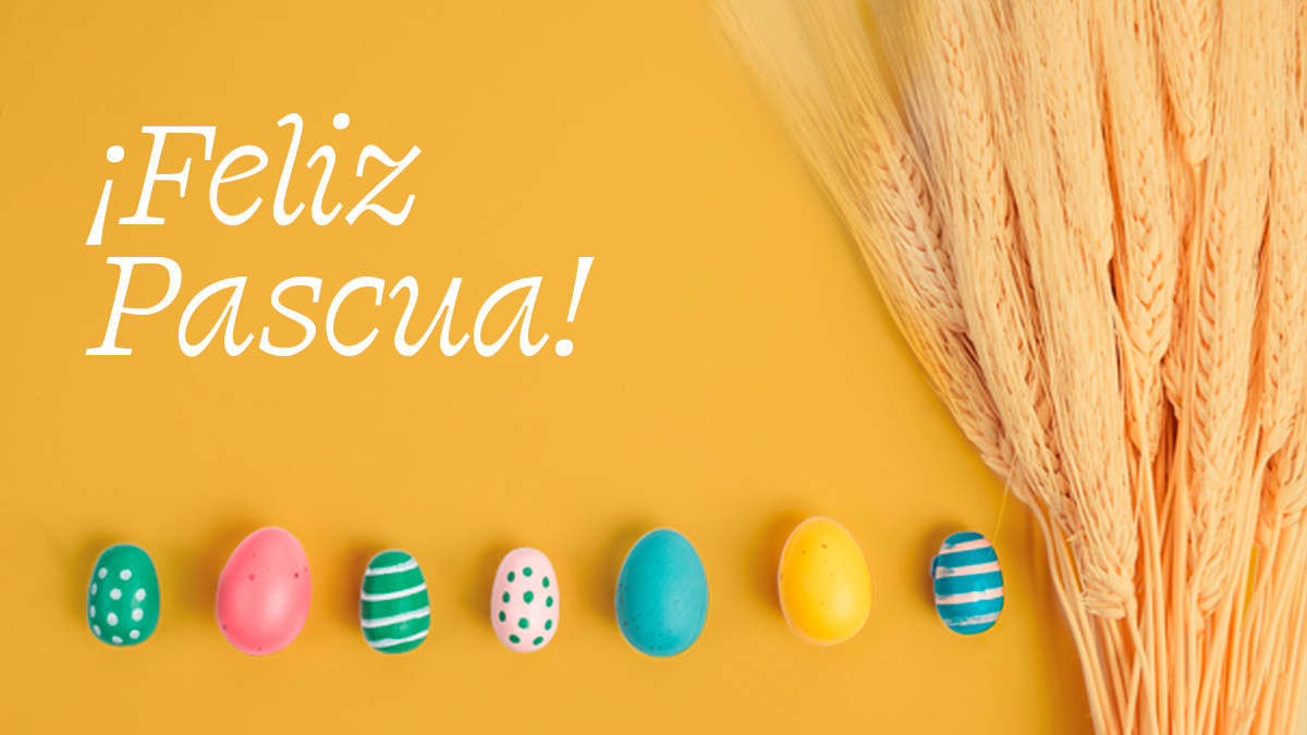 Mfitaly - Pasqua 2026 - ES