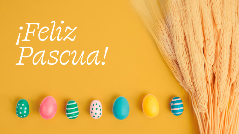 Mfitaly - Pasqua 2026 - ES